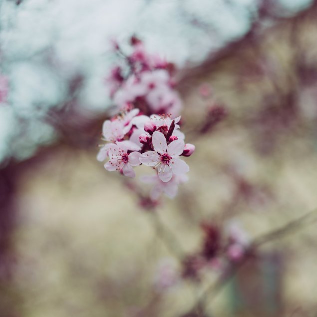 Hirschegg im März Hirschegg im März