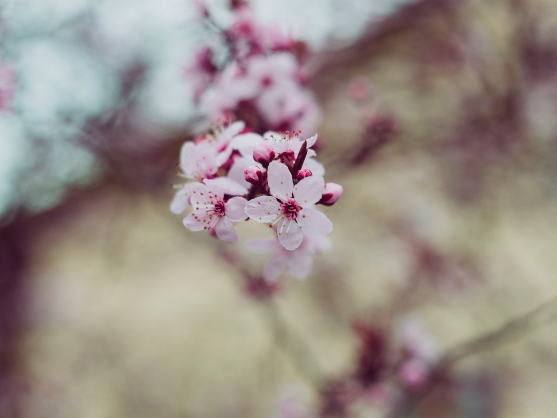Hirschegg im März Hirschegg im März