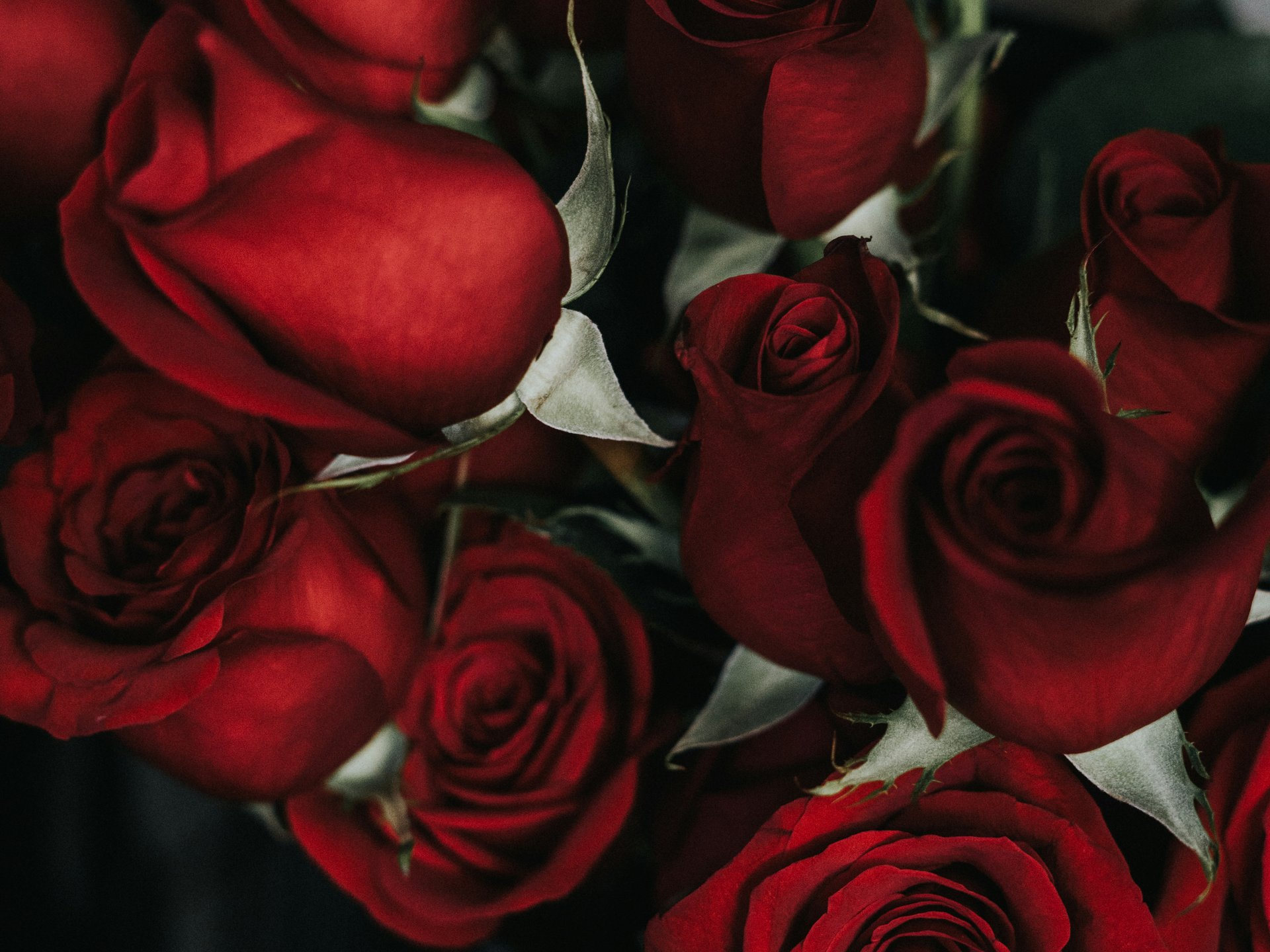 Zeit zu zweit: Valentinstag im Erwachsenenhotel Zeit zu zweit: Valentinstag im Erwachsenenhotel