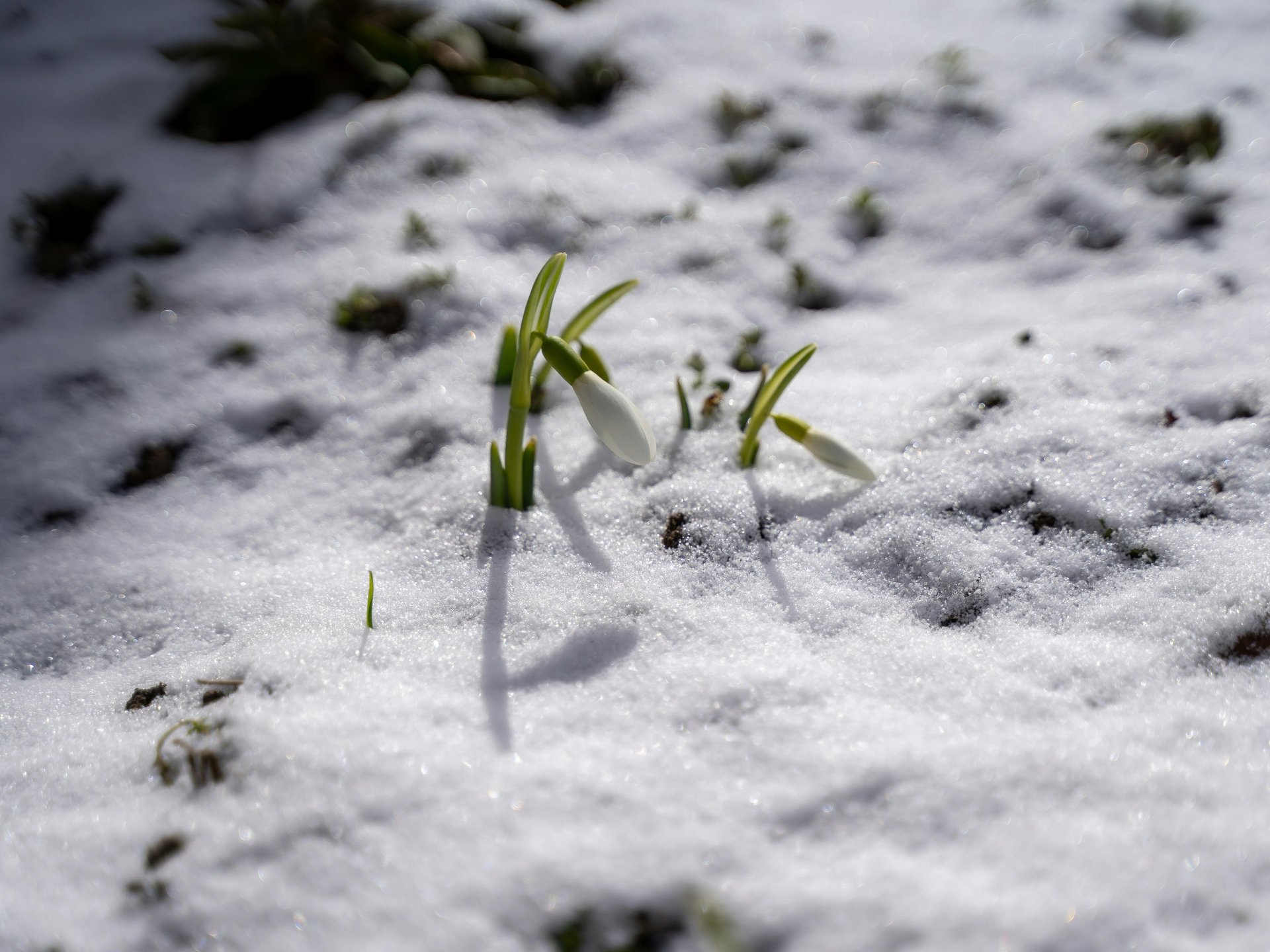 Vorbereiten auf die kalte Jahreszeit Vorbereiten auf die kalte Jahreszeit