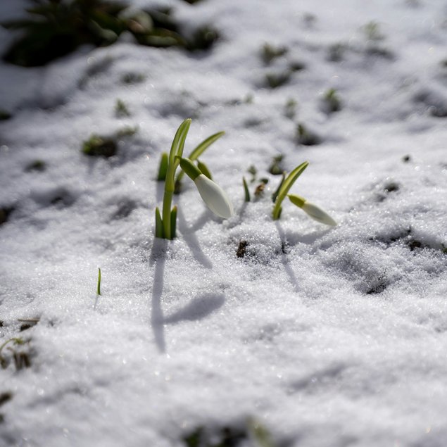 Urlaub im Kleinwalsertal: Hotel Gemma Urlaub im Kleinwalsertal: Hotel Gemma
