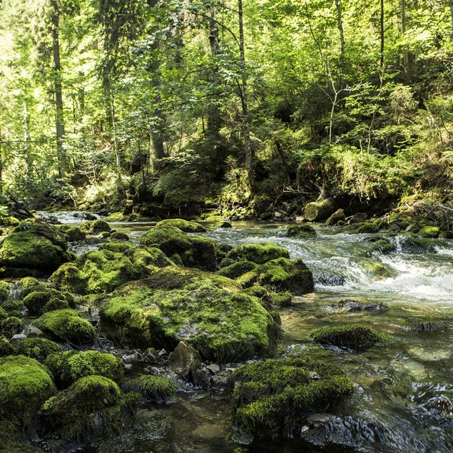 Der März und seine Besonderheiten Der März und seine Besonderheiten