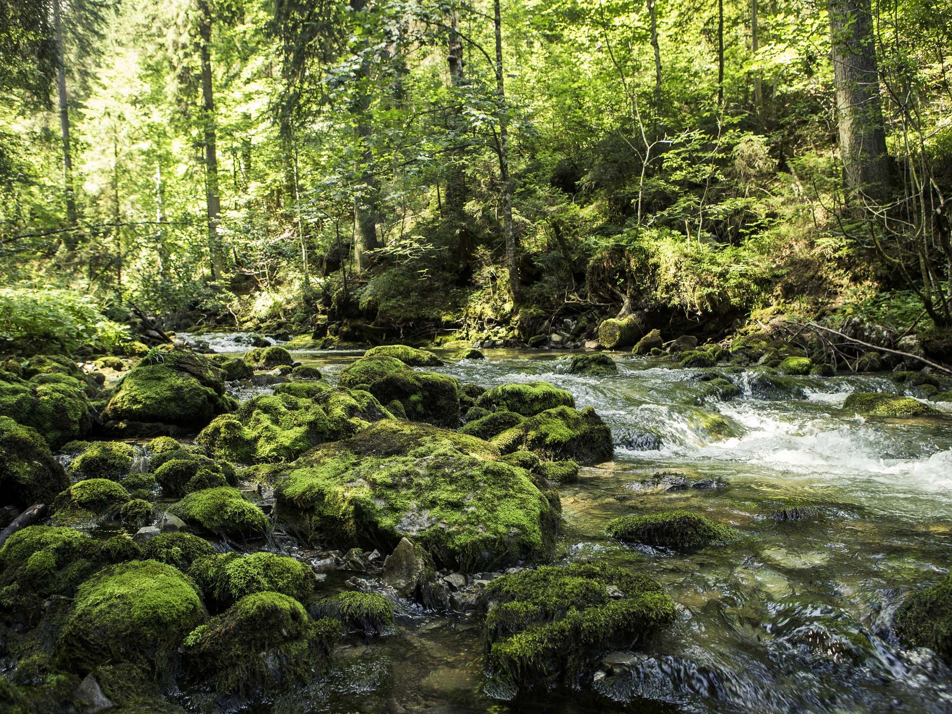 Abenteuer und Entspannung Abenteuer und Entspannung