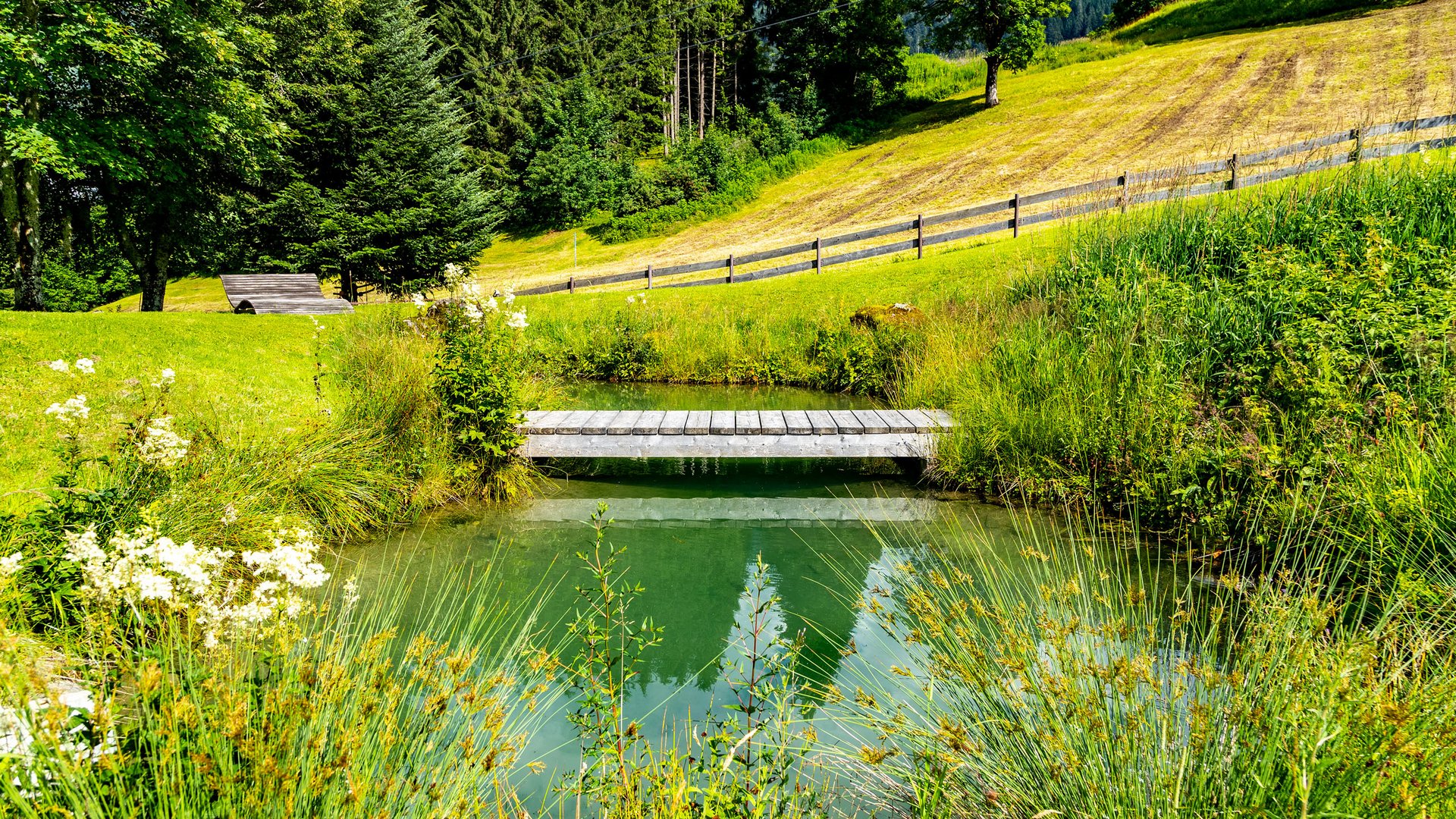 Erwachsenenhotel im Allgäu gesucht? Hotel Gemma in der Nähe! Erwachsenenhotel im Allgäu gesucht? Hotel Gemma in der Nähe!