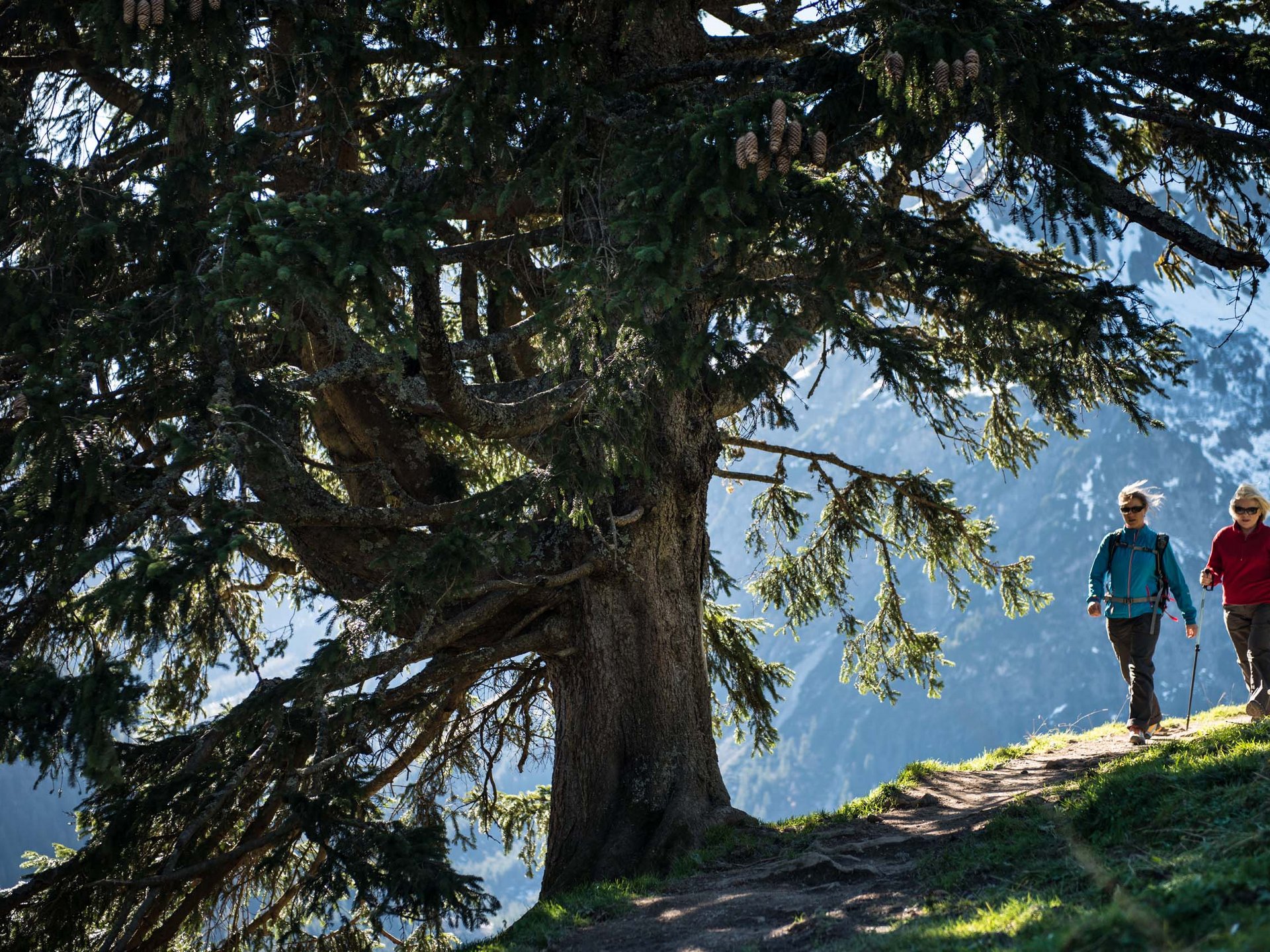 Die Kunst der Langsamkeit Die Kunst der Langsamkeit