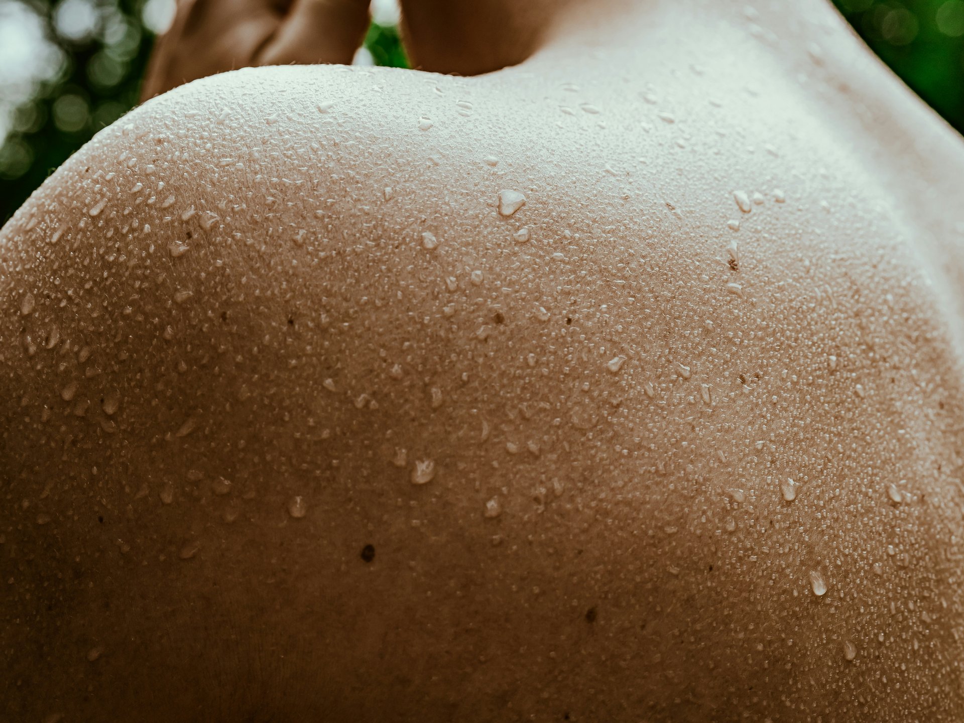 Die Kunst der Entschleunigung Die Kunst der Entschleunigung