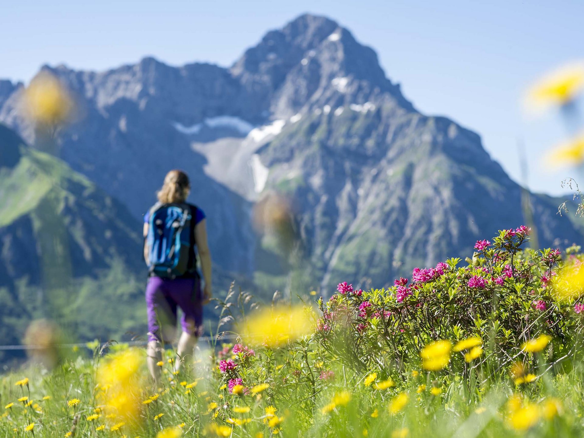 Sommer im Kleinwalsertal Sommer im Kleinwalsertal