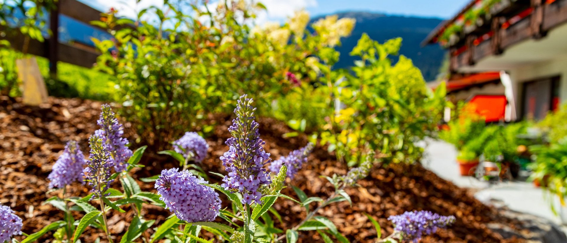 Adults only: unsere Philosophie und Geschichte Adults only: unsere Philosophie und Geschichte