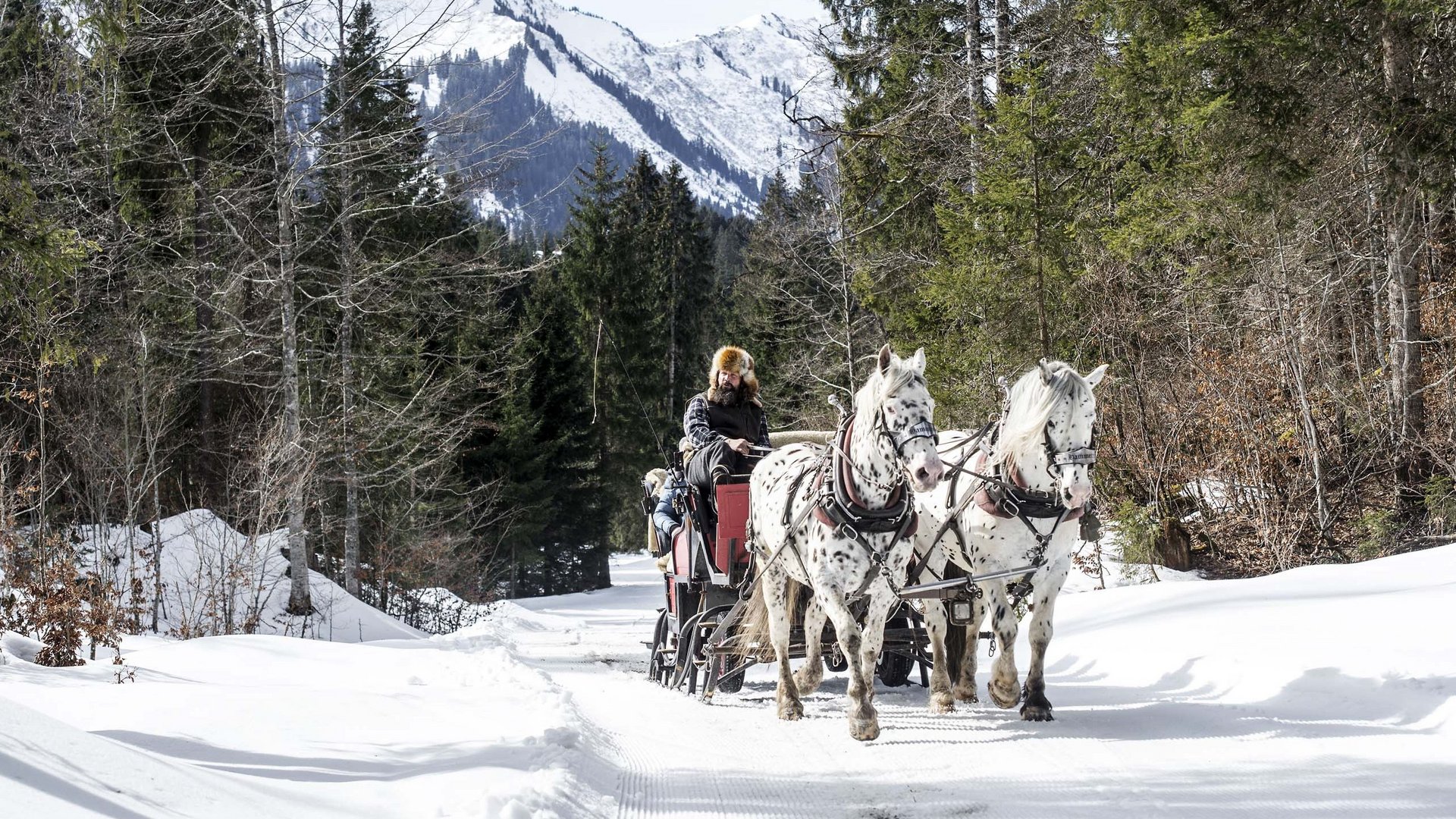 Kleinwalsertal: Skiurlaub, Winterspaß und mehr Kleinwalsertal: Skiurlaub, Winterspaß und mehr