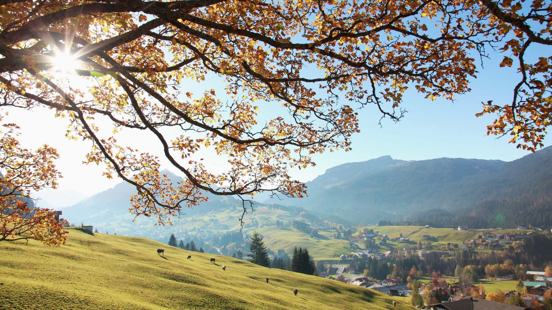 Kleinwalsertal + 4-star hotels = experiences to remember Kleinwalsertal + 4-star hotels = experiences to remember