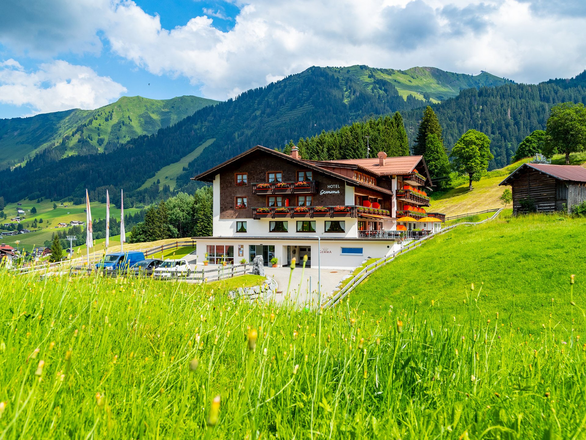 New website New website