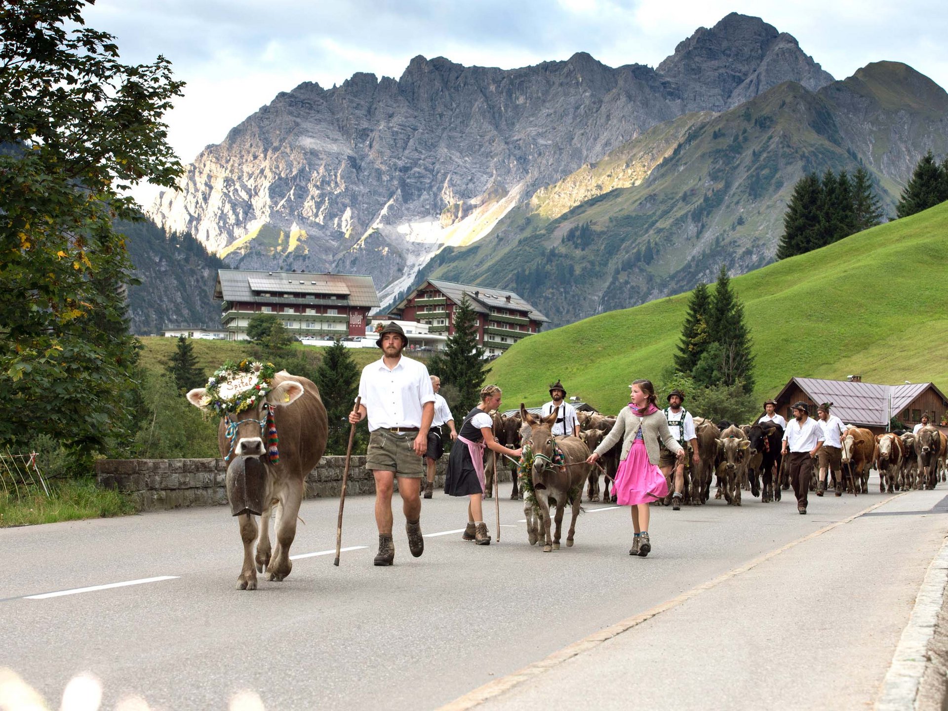Almabtrieb im Kleinwalsertal erleben Almabtrieb im Kleinwalsertal erleben