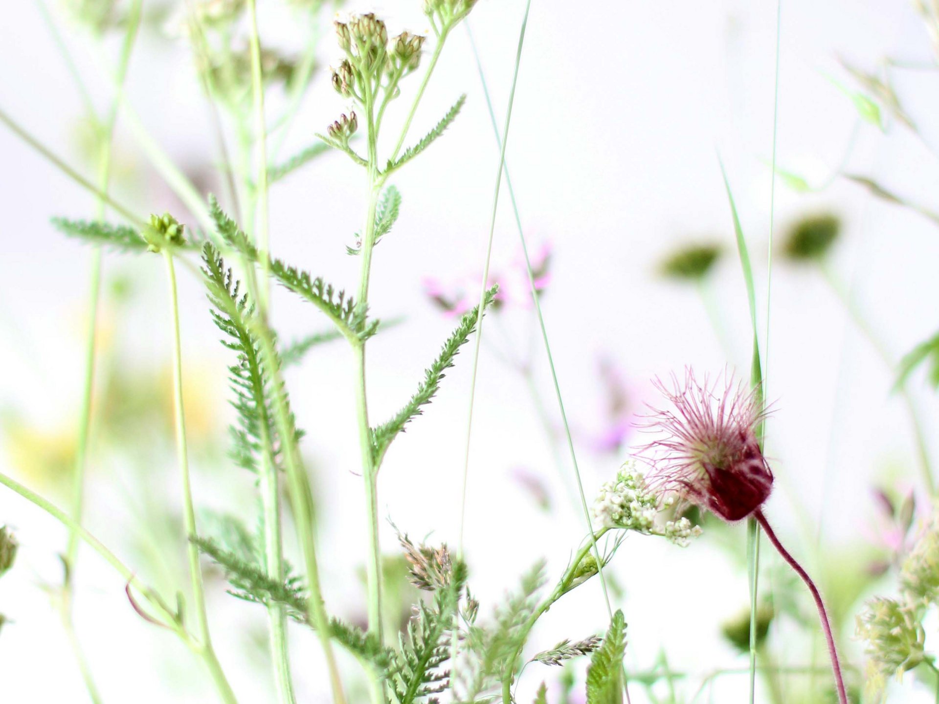 Abenteuer und Entspannung Abenteuer und Entspannung