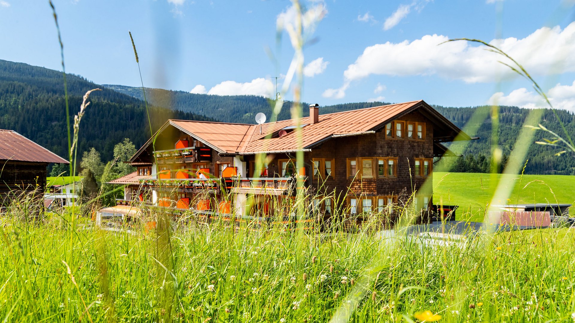 Grüner Urlaub in unserem Hotel in Hirschegg, Kleinwalsertal